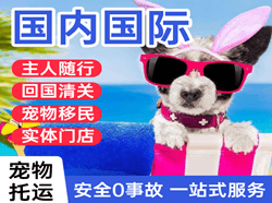 天府机场货运国际宠物托运 【国